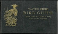 Bird Guide: Water Birds, Game Birds, And Birds Of Prey East Of The Rockies