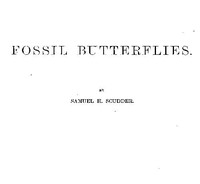Fossil Butterflies Memoirs of the American Association for the Advancement of Science, I.