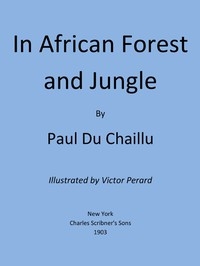 In African Forest and Jungle