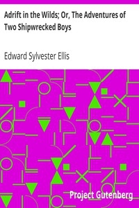 Adrift In The Wilds; Or, The Adventures Of Two Shipwrecked Boys