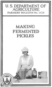 Making Fermented Pickles