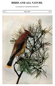 Birds and All Nature, Vol. 5, No. 5, May 1899 Illustrated by Color Photography