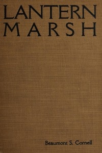 Lantern Marsh