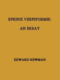 Sphinx Vespiformis: An Essay