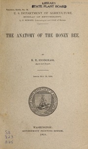 Anatomy Of The Honey Bee /