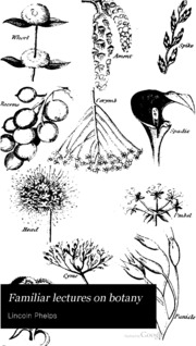 Familiar Lectures On Botany: Including Practical And Elementary Botany, With ...