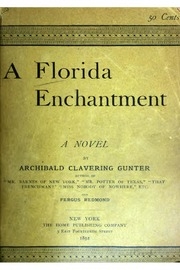 A Florida Enchantment : A Novel
