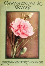 Carnations & Pinks