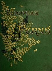 European Ferns
