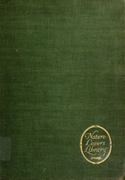Birds Of America;