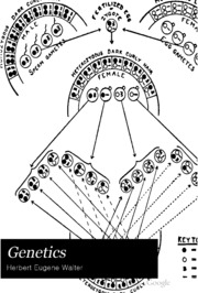 Genetics; An Introduction To The Study Of Heredity