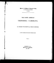 أمريكا الشمالية Crinoidea camerata