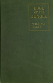 Edge Of The Jungle