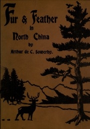 Fur And Feather In North China