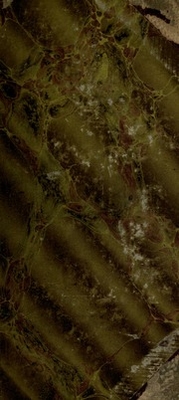 Catalogue Of Marine Polyzoa In The Collection Of The British Museum