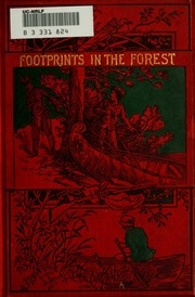 Footprints In The Forest