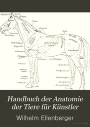 Handbuch der Anatomie der Tiere für Künstler : textband