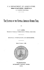 The Culture Of The Central American Rubber Tree