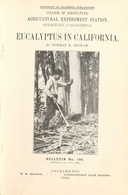 شجرة الكينا في كاليفورنيا