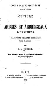 Culture Des Arbres Et Arbrisseaux D'ornement Plantations De Lignes D ...