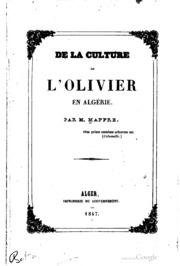 De la culture de l'olivier en Algérie