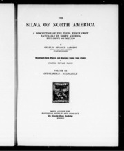 سيلفا أمريكا الشمالية: وصف للشجرة التي تنمو بشكل طبيعي في أمريكا الشمالية باستثناء المكسيك