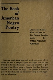 The Book Of American Negro Poetry