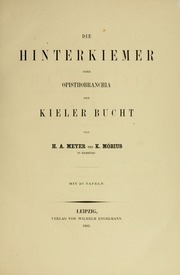 Fauna Der Kieler Bucht