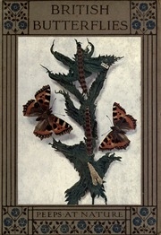 British Butterflies