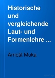 Historische Und Vergleichende Laut- Und Formenlehre Der Niedersorbischen (niederlausitzisch-wendischen) Sprache ;