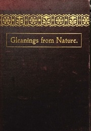 Gleanings From Nature