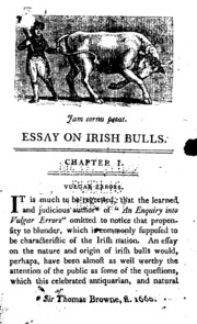 An Essay On Irish Bulls