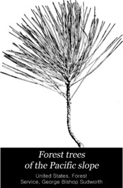 Forest Trees Of The Pacific Slope