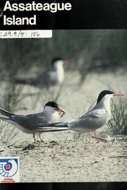 Assateague Island