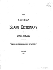 The American Slang Dictionary