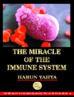 The Miracle Of The Immune System