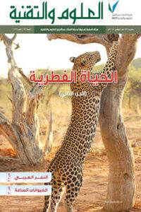 The Wild Life - Part Two
