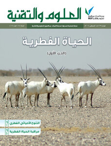 The Wild Life - Part 1