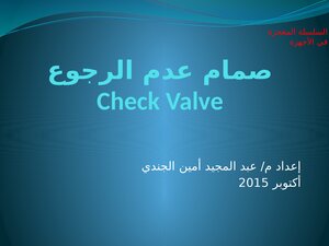 Check Valve