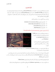 ذواكر الحاسب
