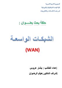 Wide Networks