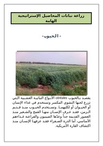 الحبوب