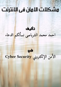 Internet Security Problems