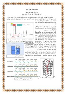 Nano Water Desalination