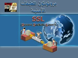 Ssl Application In Windows Server 2003