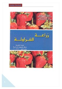 Strawberry Cultivation
