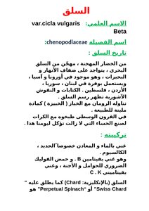 نبات السلق