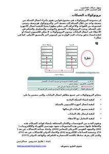 Networking Protocols