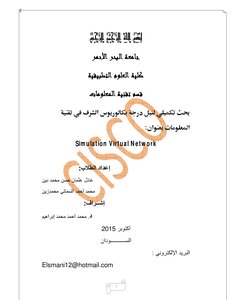 شبكة خاصة virsual