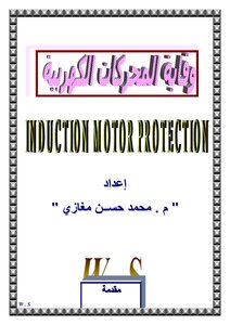 Electric Motor Protection